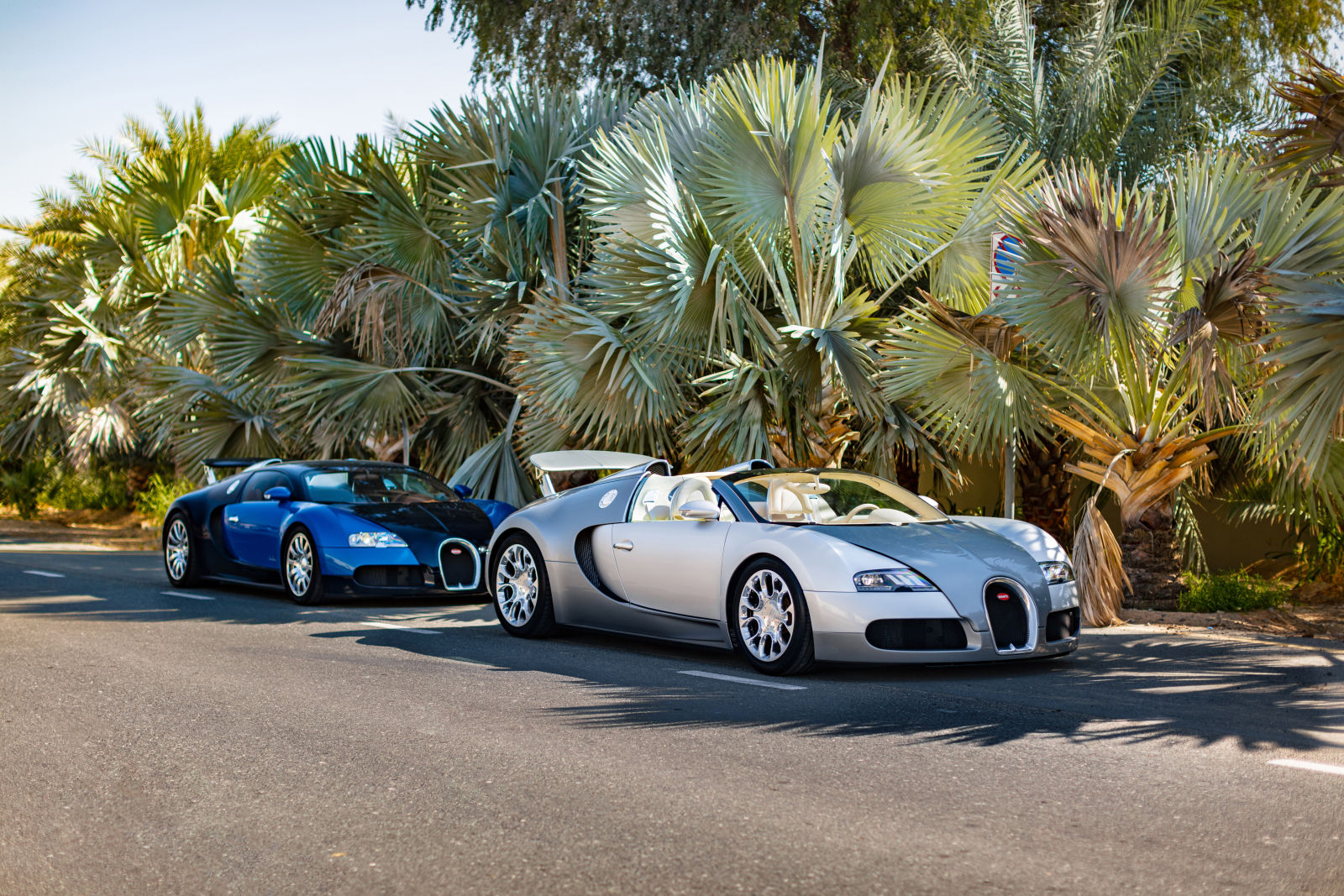 Bugatti Veyron
