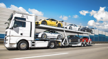 Collection Porsche 911 &agrave; vendre