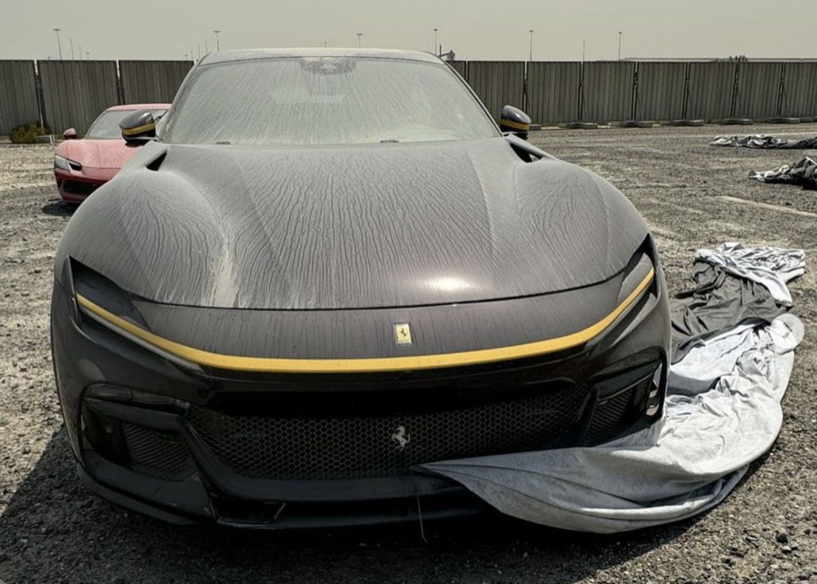 Ferrari Purosangue noyé