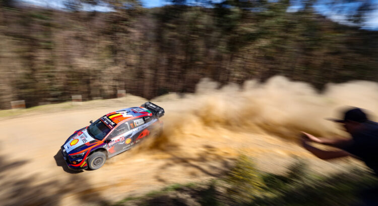 WRC - Rallye du Chili 2024 : programme, live, horaires TV, parcours, résultats