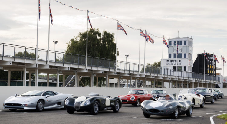 Jaguar : à l'assaut de Goodwood au volant de félins emblématiques