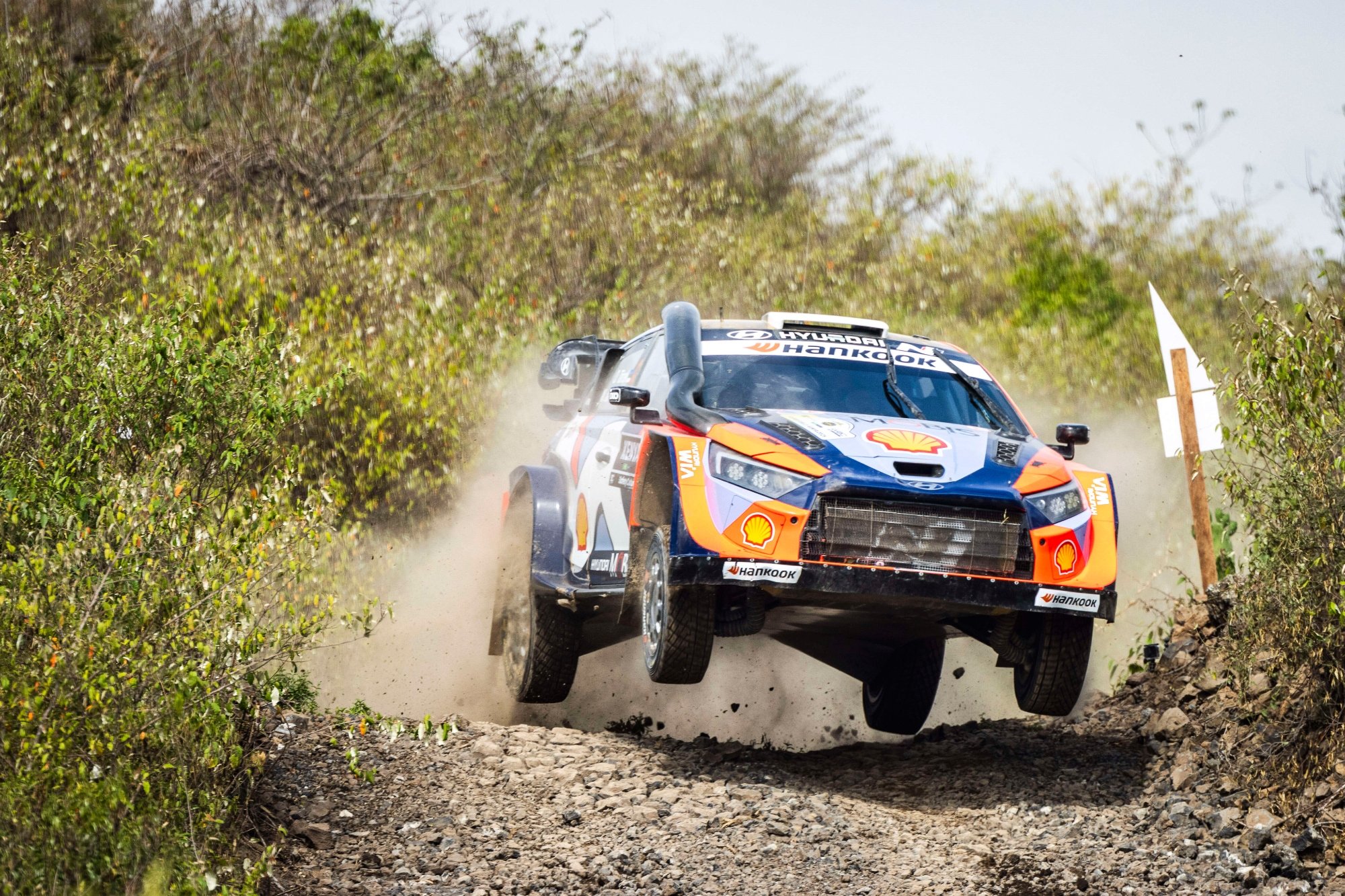 Hyundai WRC 2025