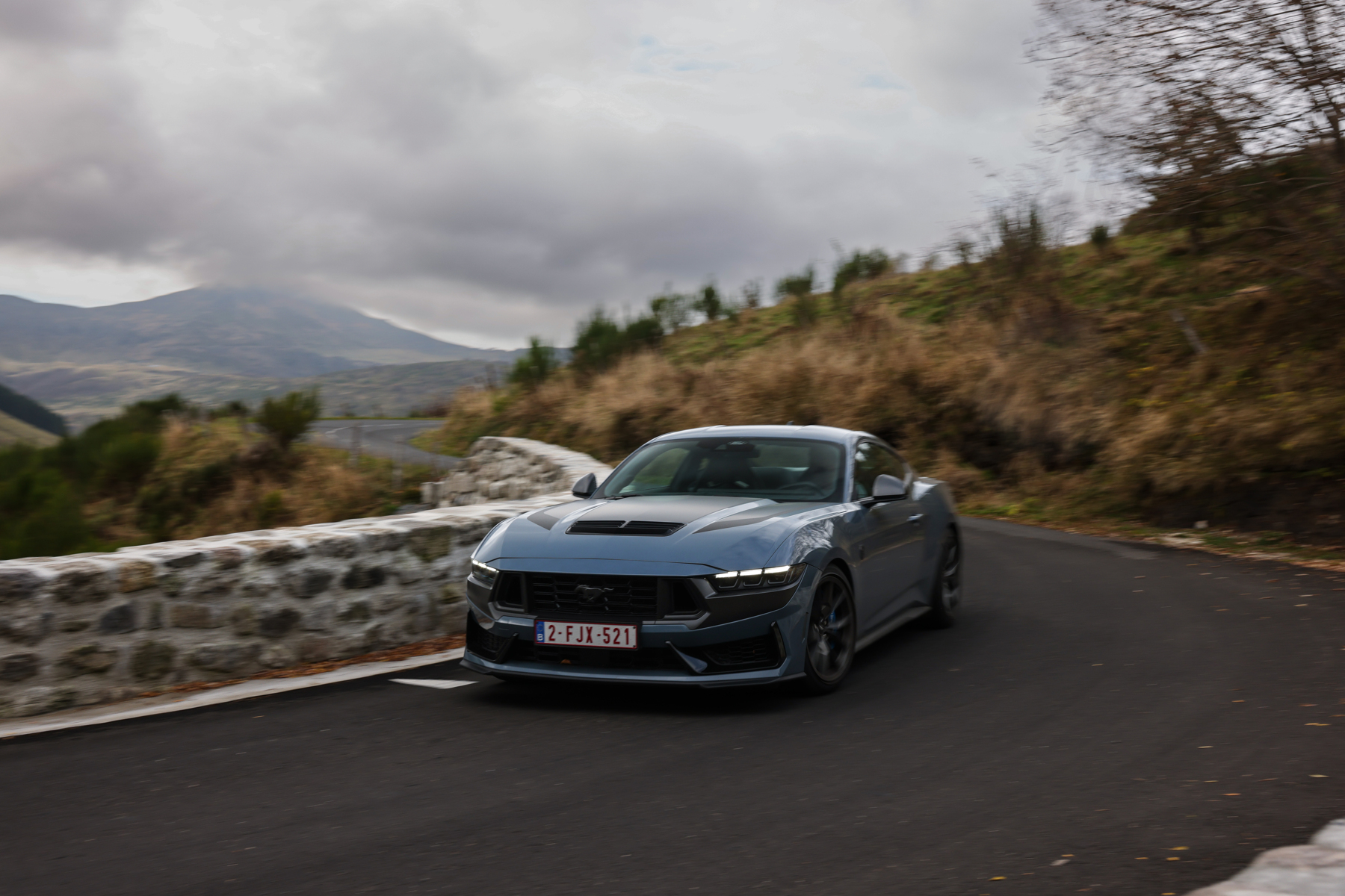 Ford Mustang Dark Horse