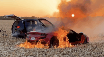 Ferrari WhistlinDiesel fraude